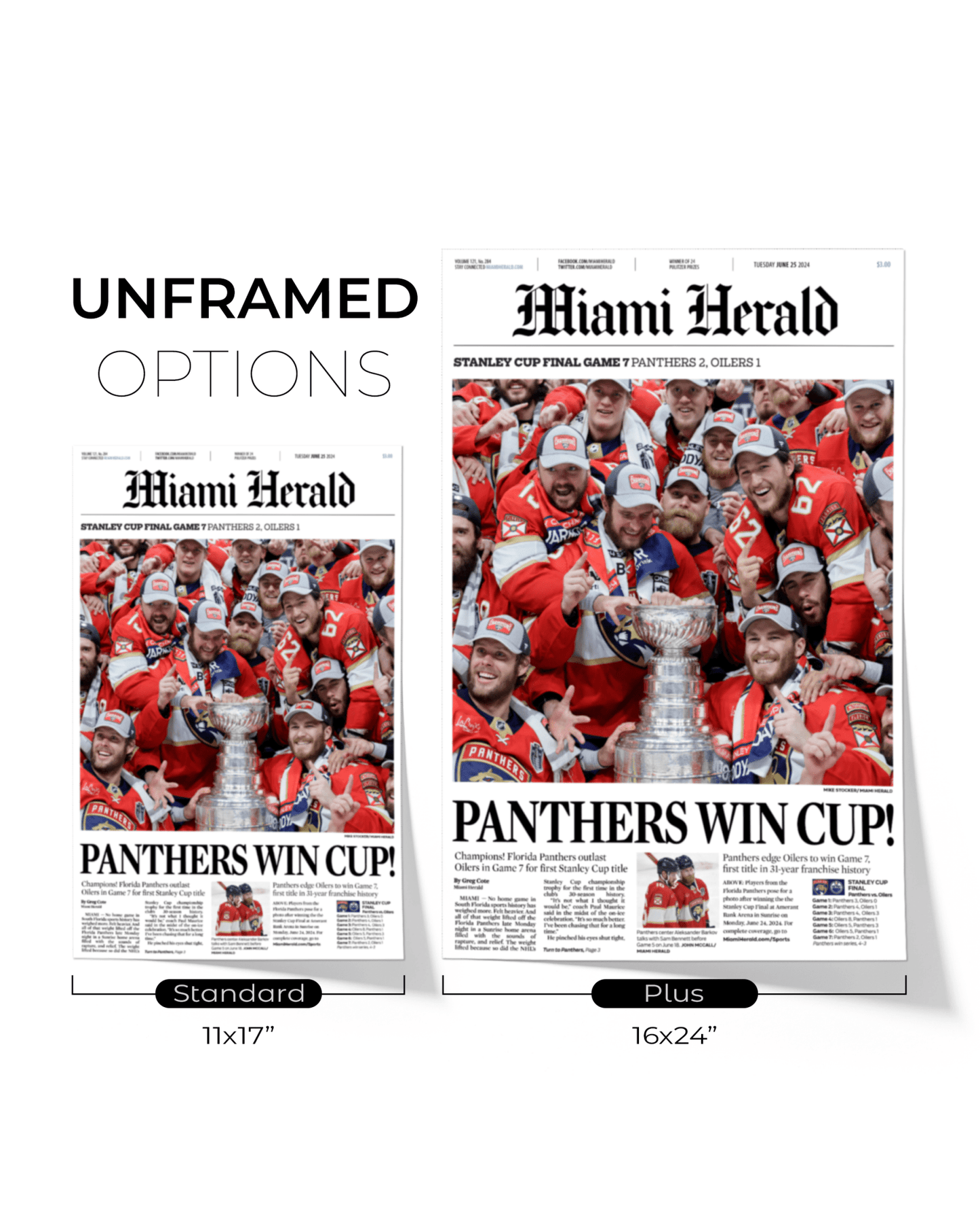 2024 Florida Panthers Stanley Cup Champs Framed Commemorative Newspaper - TitleGameFrames.com