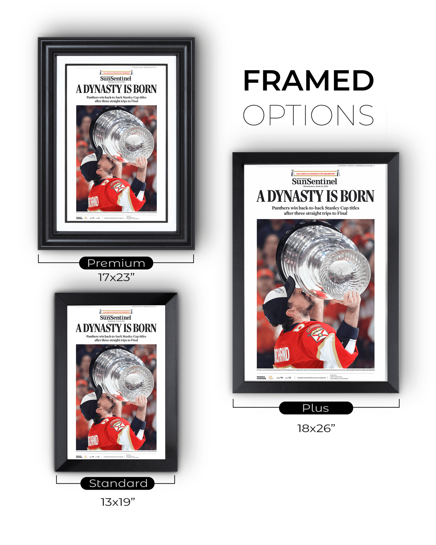 2025 Florida Panthers Stanley Cup Champions "A DYNASTY IS BORN!" Framed Newspaper - TitleGameFrames.com