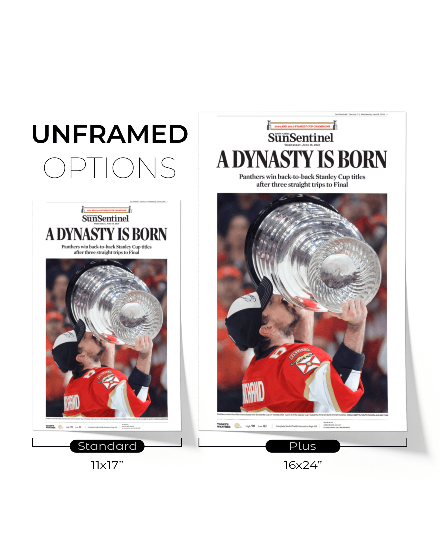 2025 Florida Panthers Stanley Cup Champions "A DYNASTY IS BORN!" Framed Newspaper - TitleGameFrames.com