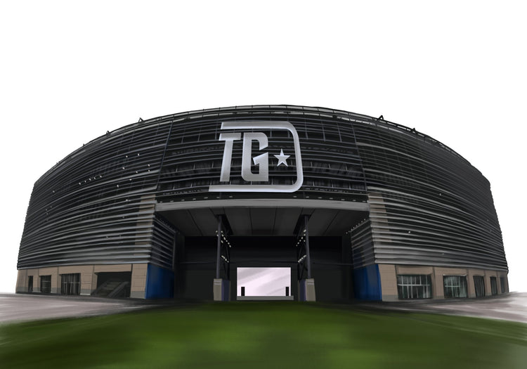 Professional Baseball