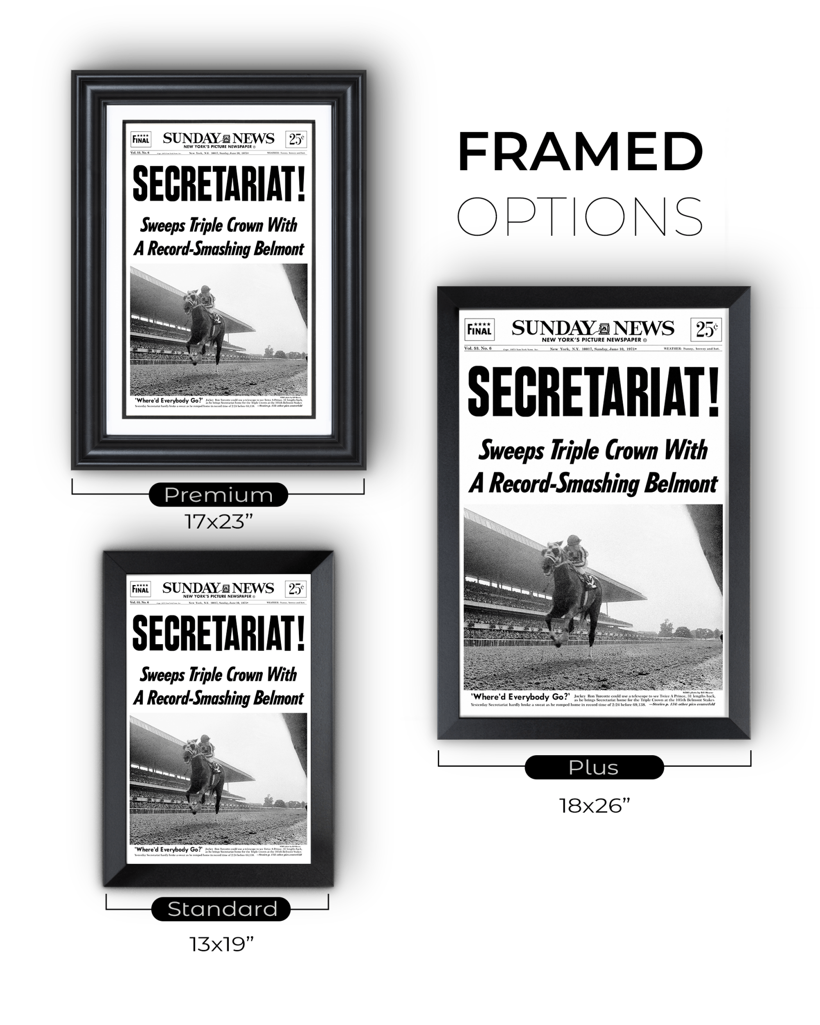 1973 Belmont Stakes “SECRETARIAT” Triple Crown Winner Framed Front Page Newspaper - TitleGameFrames.com
