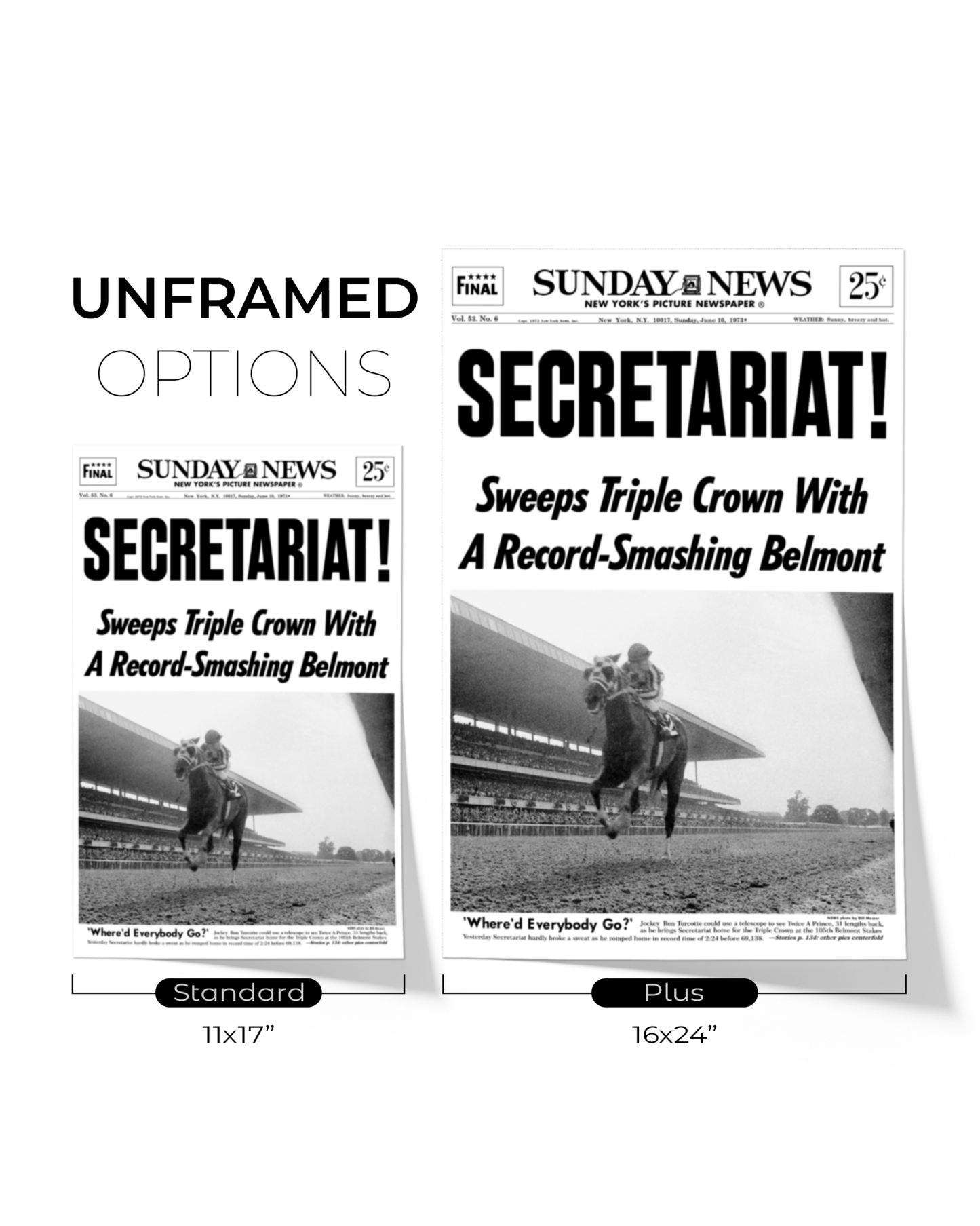 1973 Belmont Stakes “SECRETARIAT” Triple Crown Winner Framed Front Page Newspaper - TitleGameFrames.com