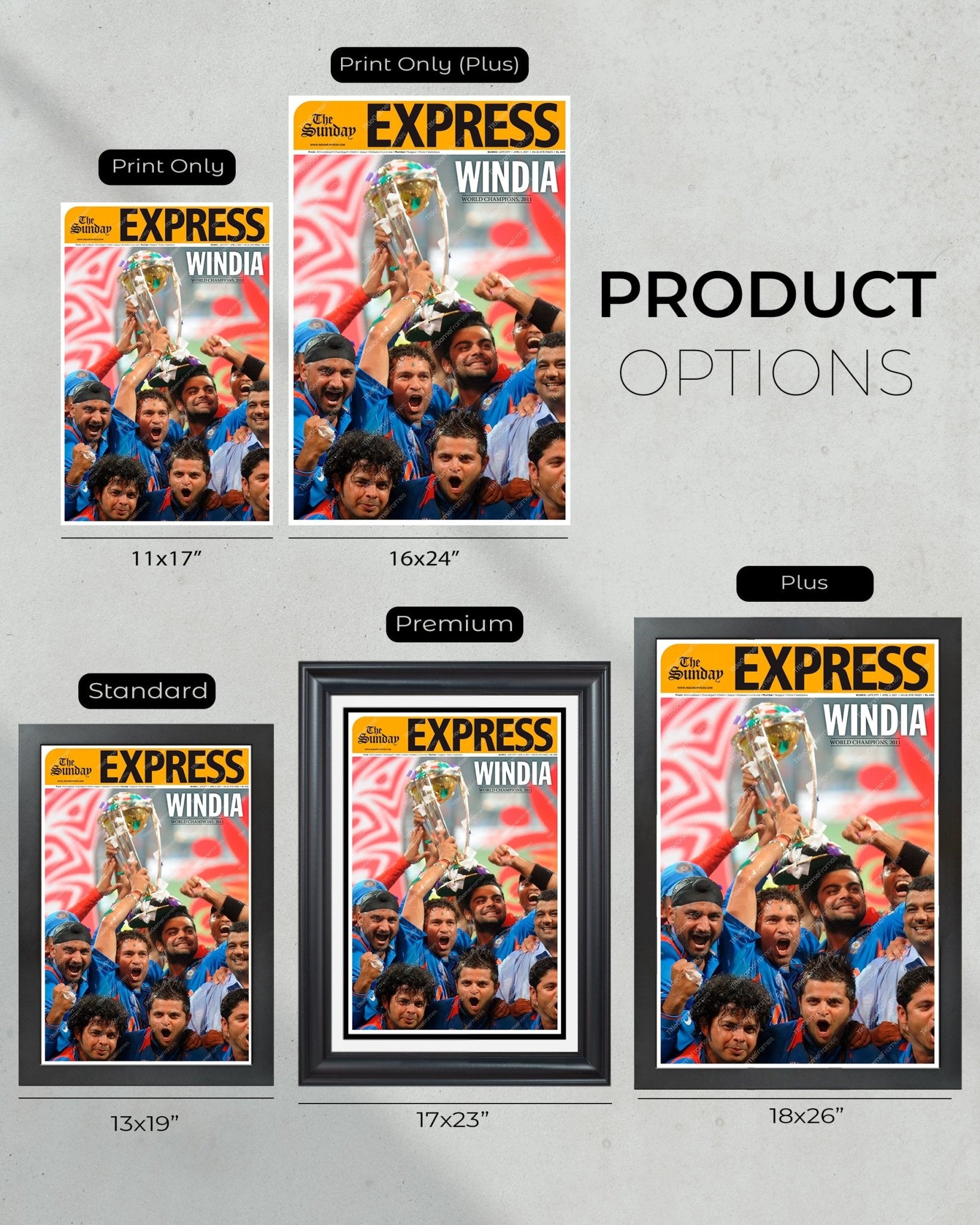 2011 India World Cup Cricket Champs 'WINDIA' Framed Front Page Newspaper - TitleGameFrames.com