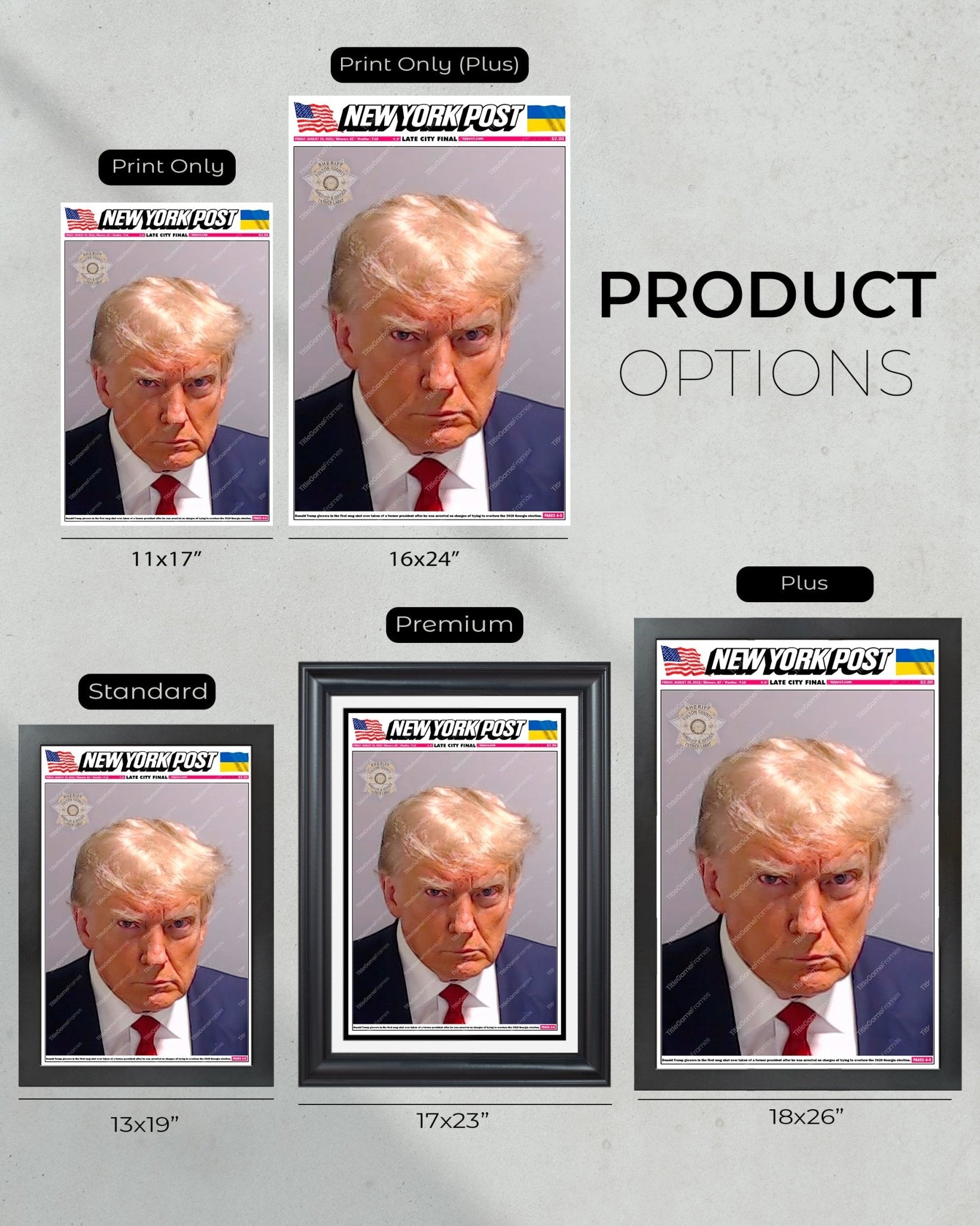 2023 Donald Trump's Epic 'Mug Shot' Framed Newspaper - TitleGameFrames.com