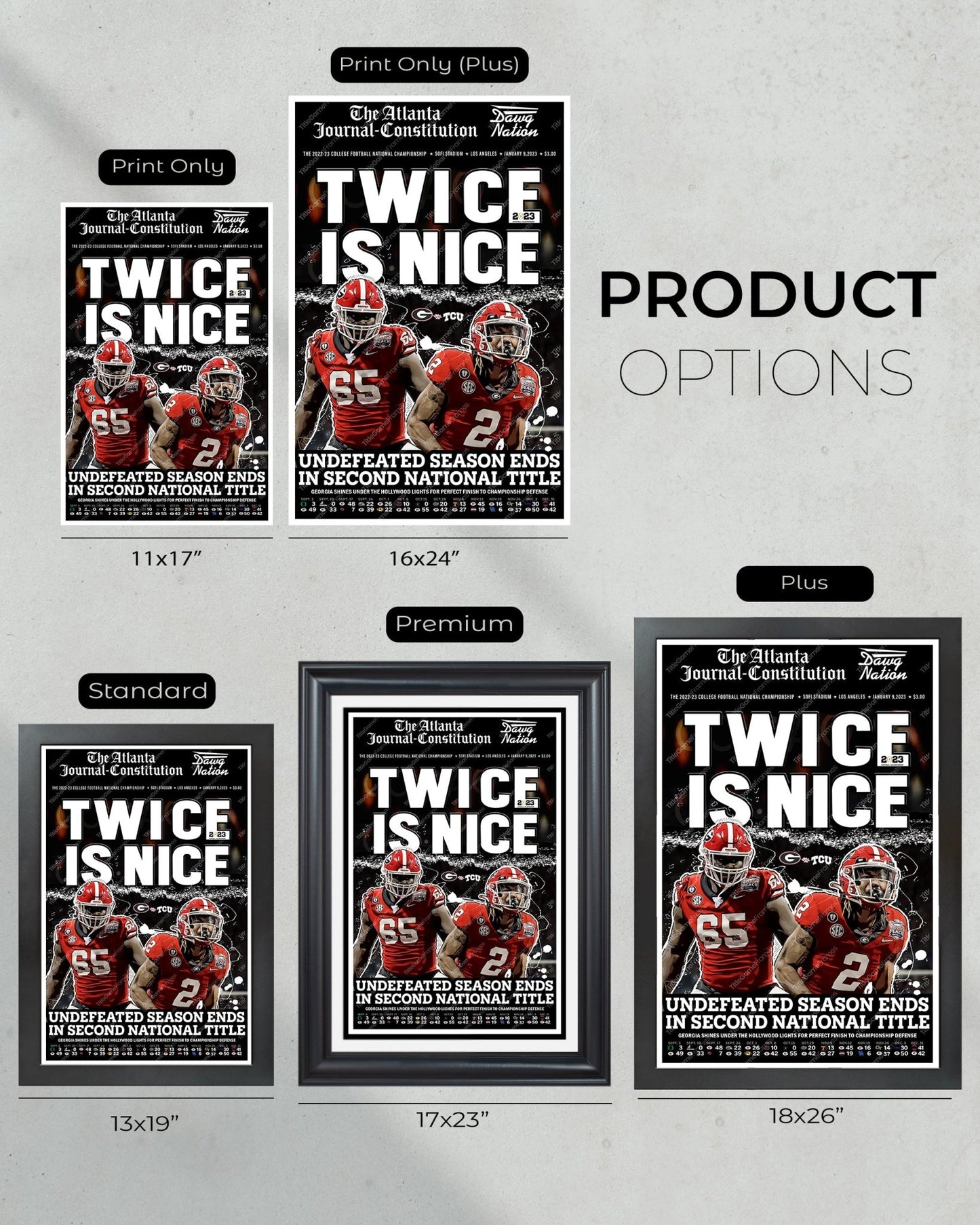 2023 Georgia Bulldogs 'Twice is Nice' College Football National Champions Framed Newspaper - TitleGameFrames.com