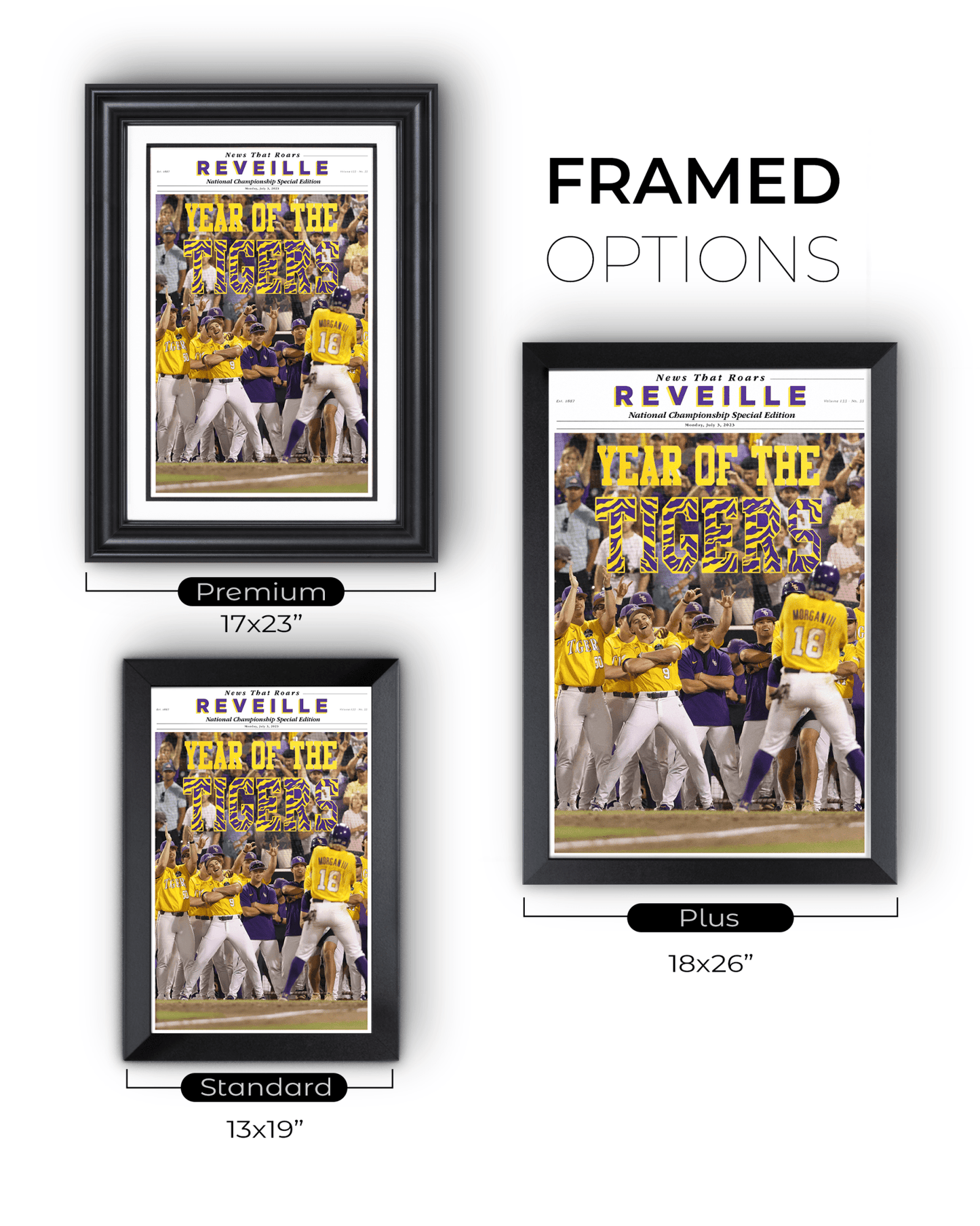 2023 LSU Tigers CWS Champions "YEAR OF THE TIGERS" – Framed Reveille Newspaper - TitleGameFrames.com