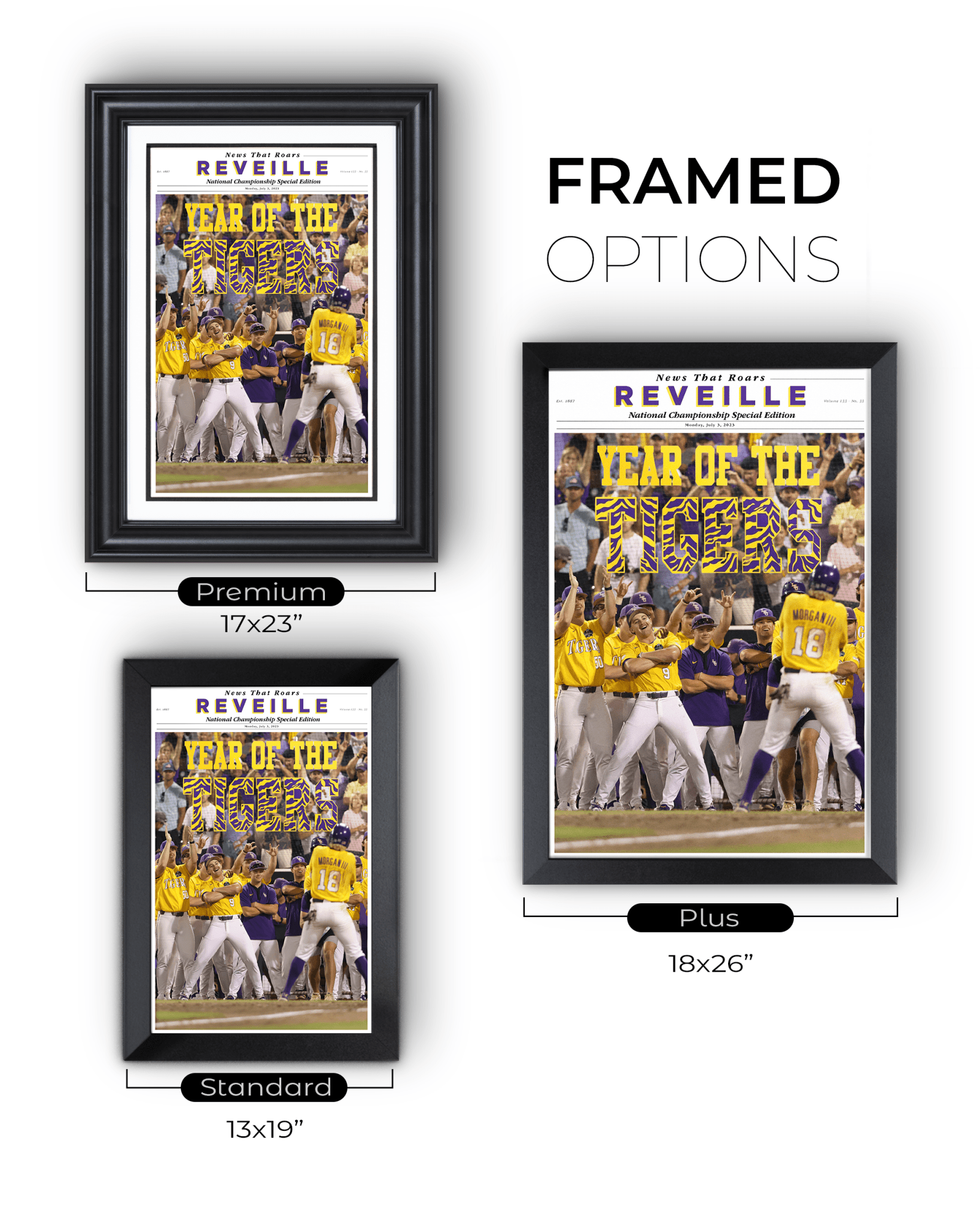 2023 LSU Tigers CWS Champions "YEAR OF THE TIGERS" – Framed Reveille Newspaper - TitleGameFrames.com