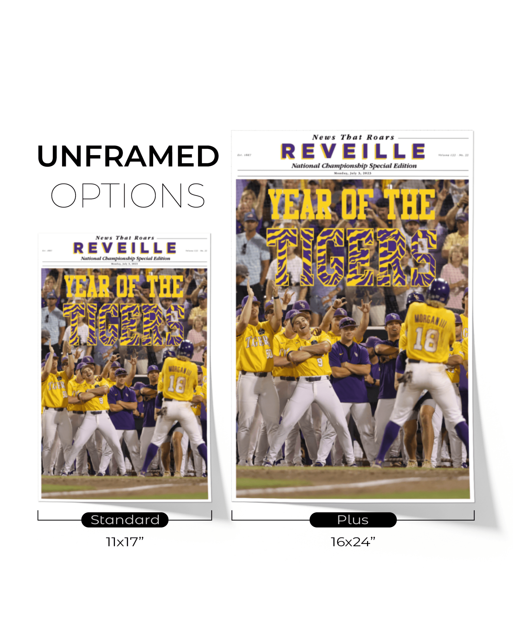 2023 LSU Tigers CWS Champions "YEAR OF THE TIGERS" – Framed Reveille Newspaper - TitleGameFrames.com