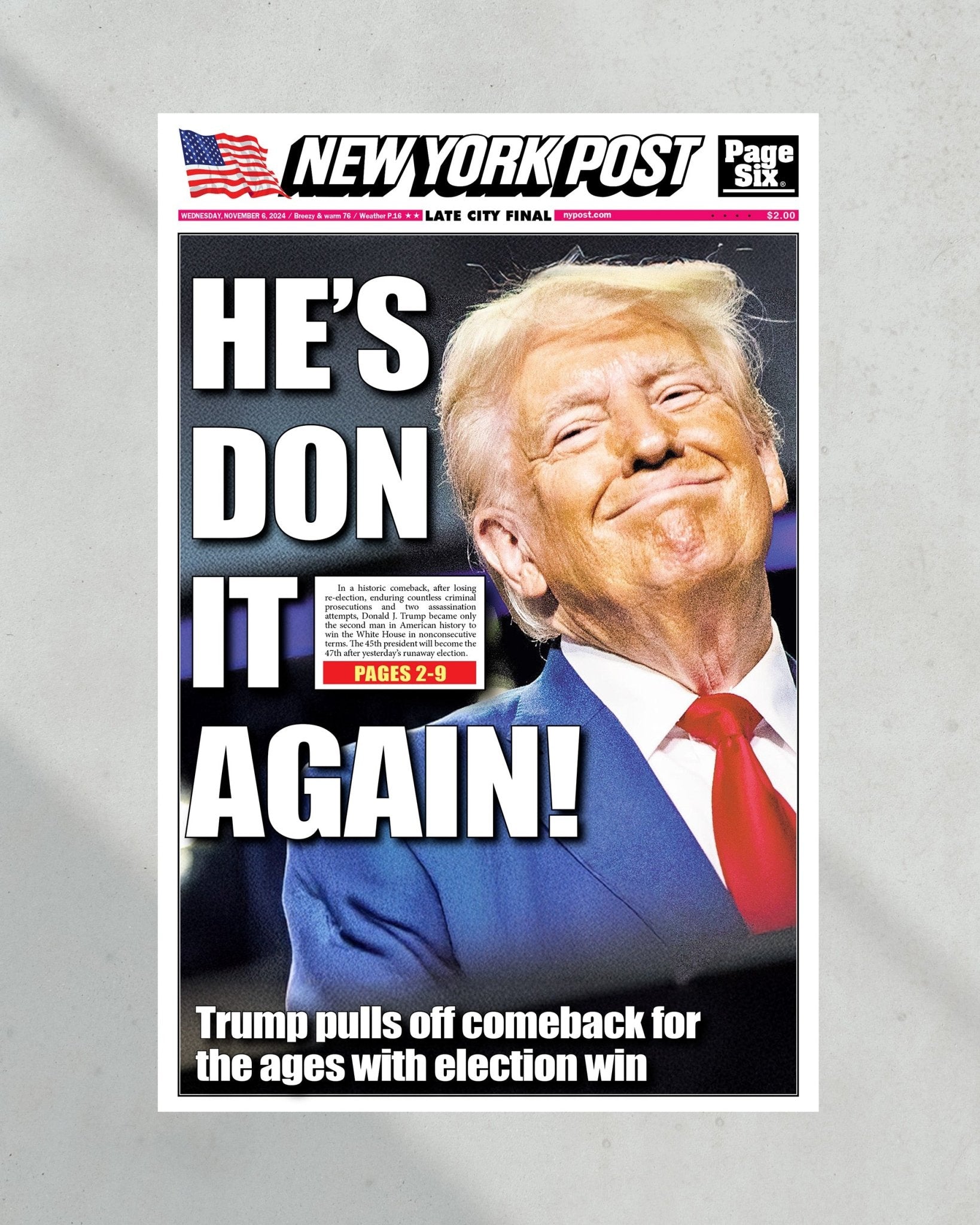 2024 Donald Trump Wins Presidential Election - NY Post Framed Newspaper - Title Game Frames