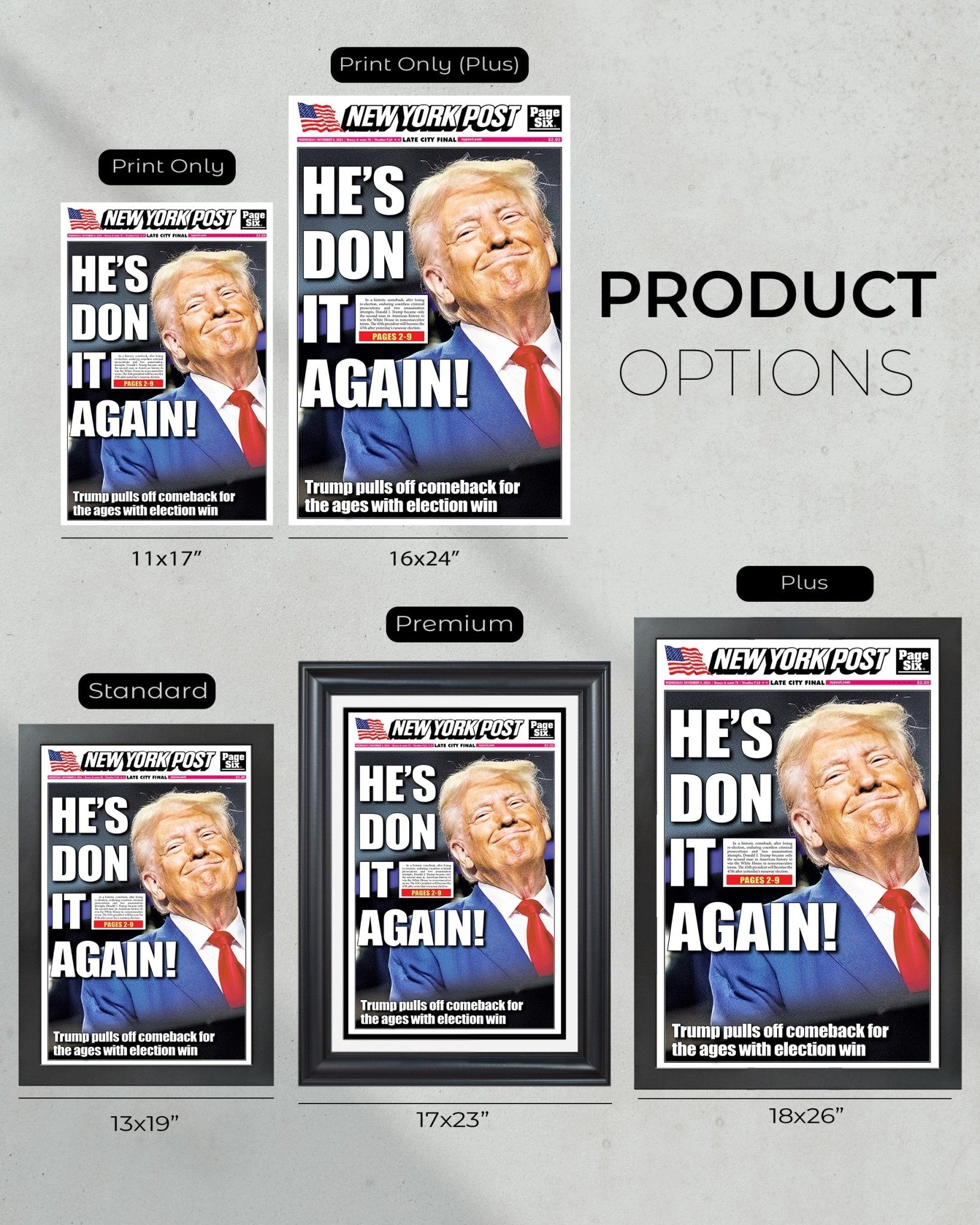 2024 Donald Trump Wins Presidential Election - NY Post Framed Newspaper - Title Game Frames