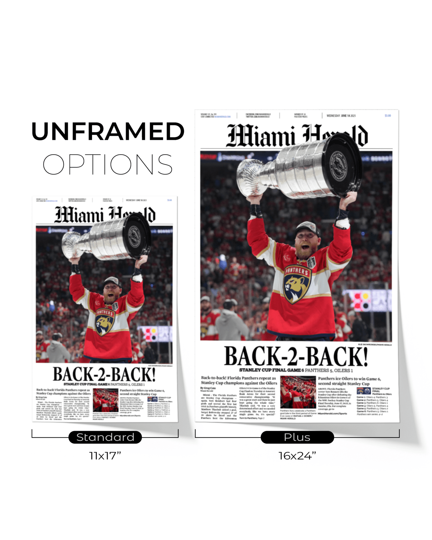 2025 Florida Panthers Stanley Cup Champions "Back - to - Back" Framed Front Page Newspaper - TitleGameFrames.com