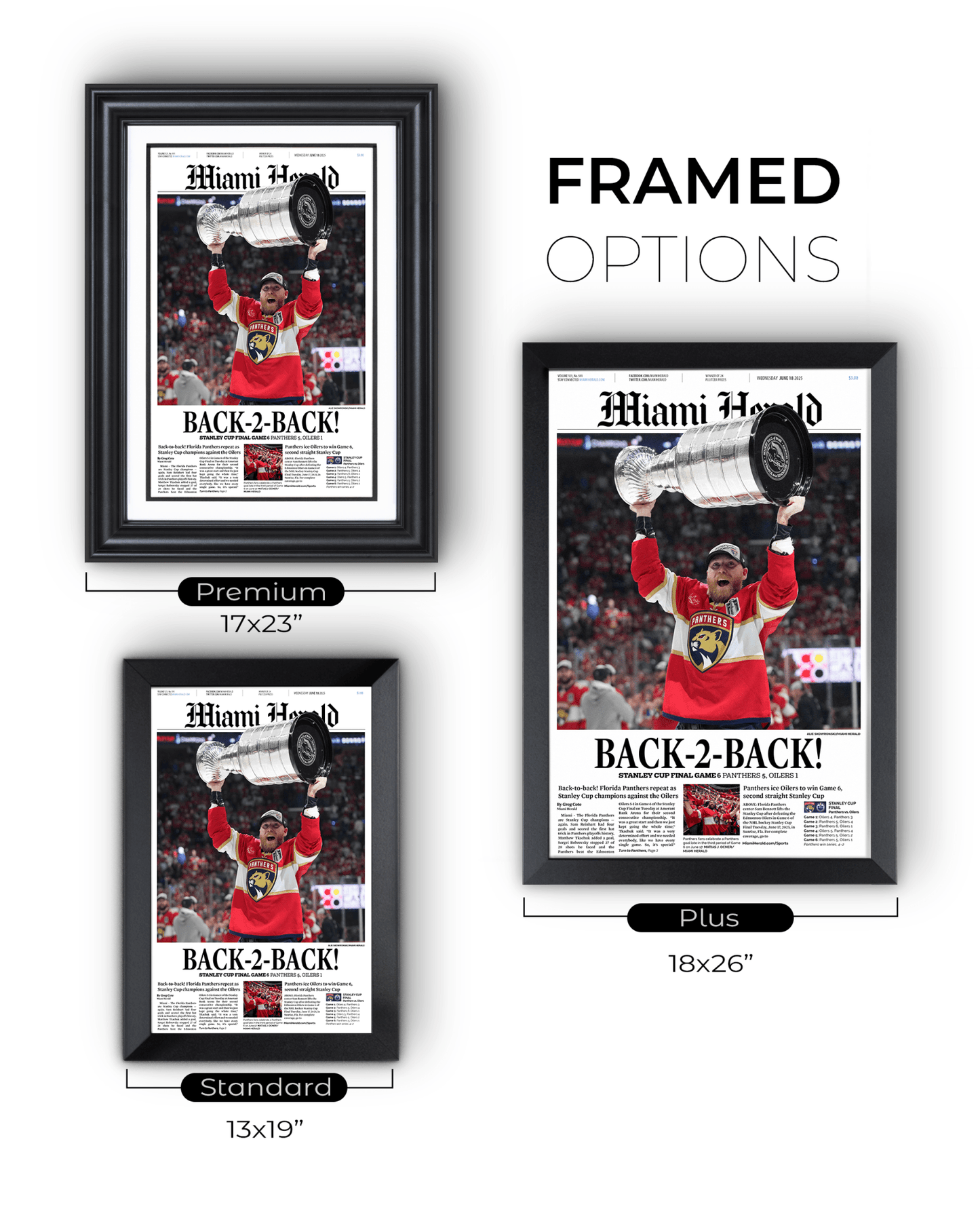 2025 Florida Panthers Stanley Cup Champions "Back - to - Back" Framed Front Page Newspaper - TitleGameFrames.com