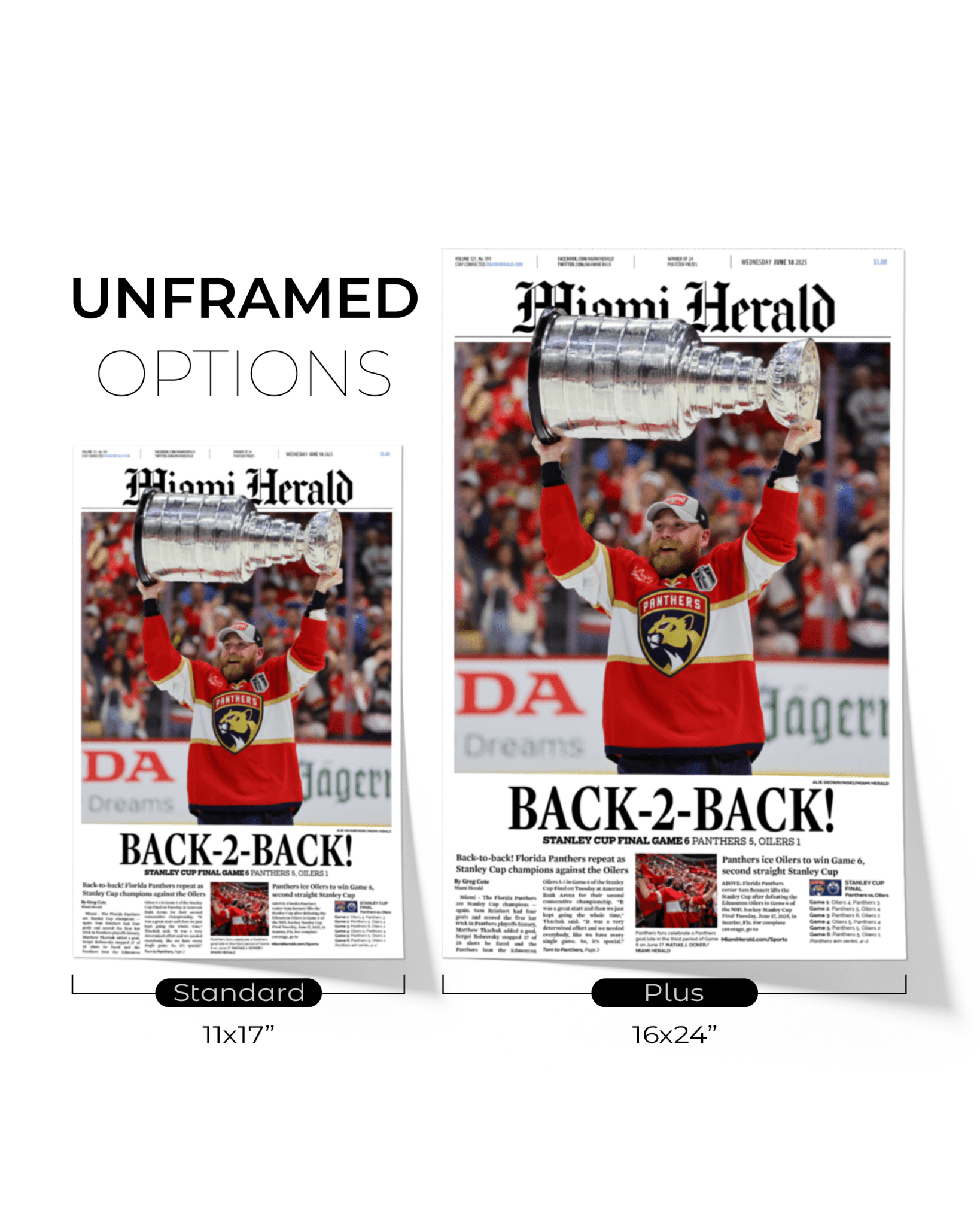 2025 Florida Panthers Stanley Cup Champions "Back - to - Back" Framed Front Page Newspaper - TitleGameFrames.com