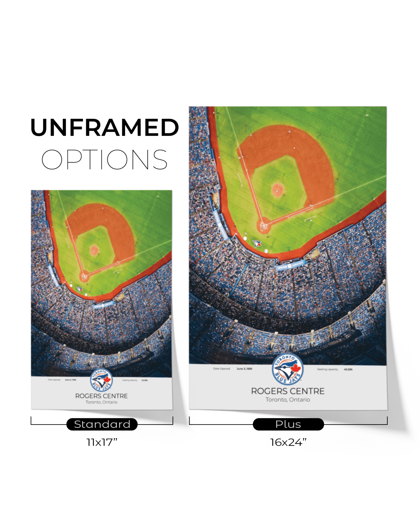 Toronto Blue Jays Rogers Centre Framed Print - TitleGameFrames.com