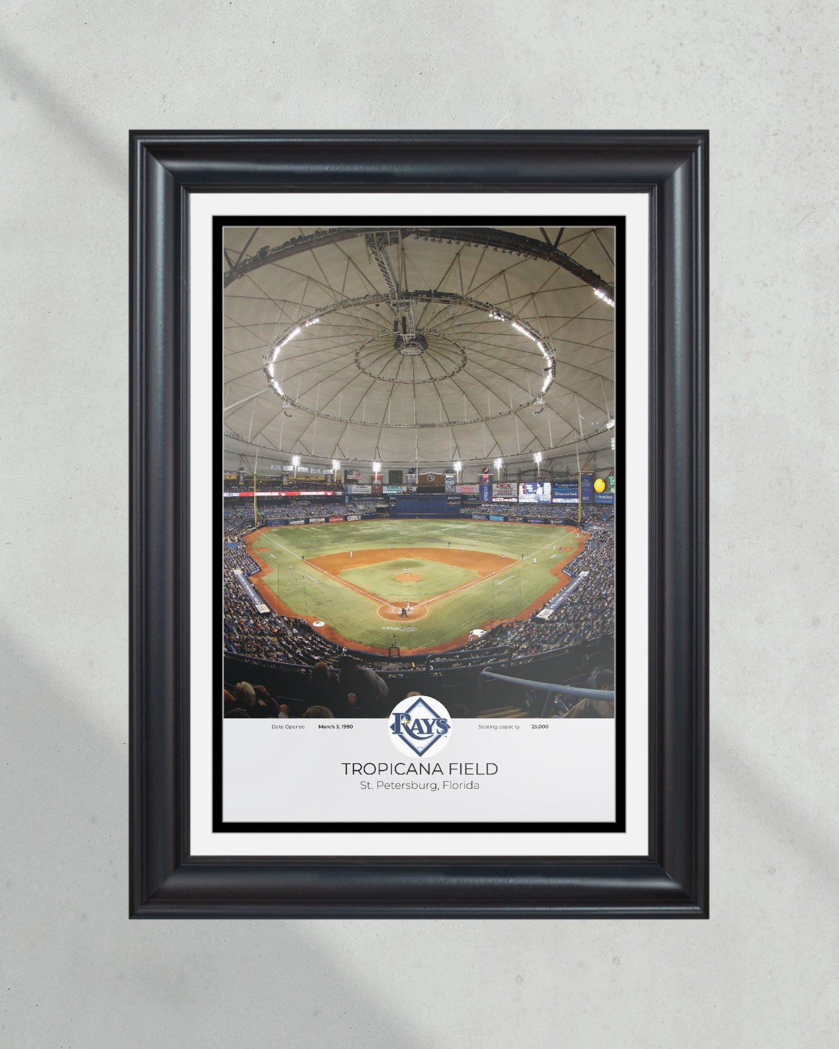 Tampa Bay Rays Tropicana Field Framed Print – TitleGameFrames.com